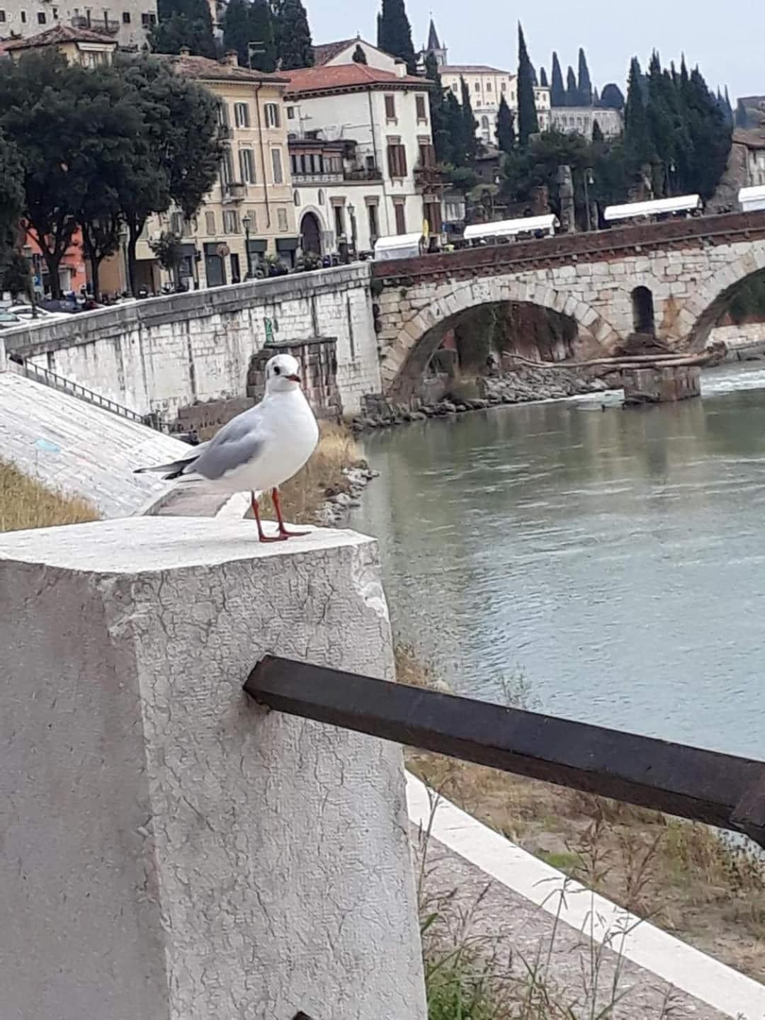 Casa Vacanza Elena Verona Dış mekan fotoğraf